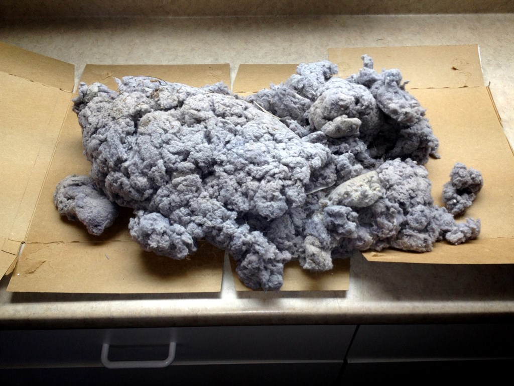 Get the Lint Out (of Your Dryer Vent)